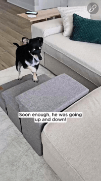 Dog Stairs for High Bed - Love's cabin