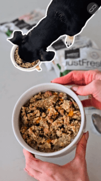 JustFoodForDogs Chicken