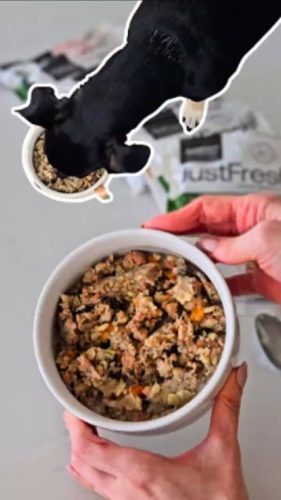 JustFoodForDogs Chicken