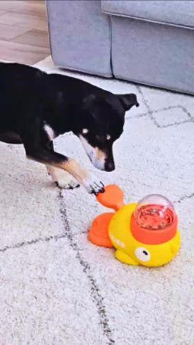 Duck Dog Interactive Treat Dispenser Toy